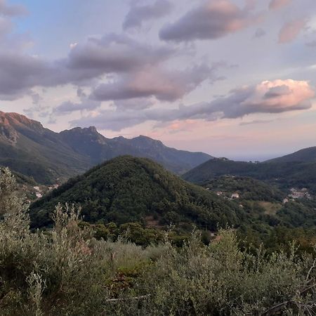 Villa La Casa In Vigna Tramonti Zimmer foto