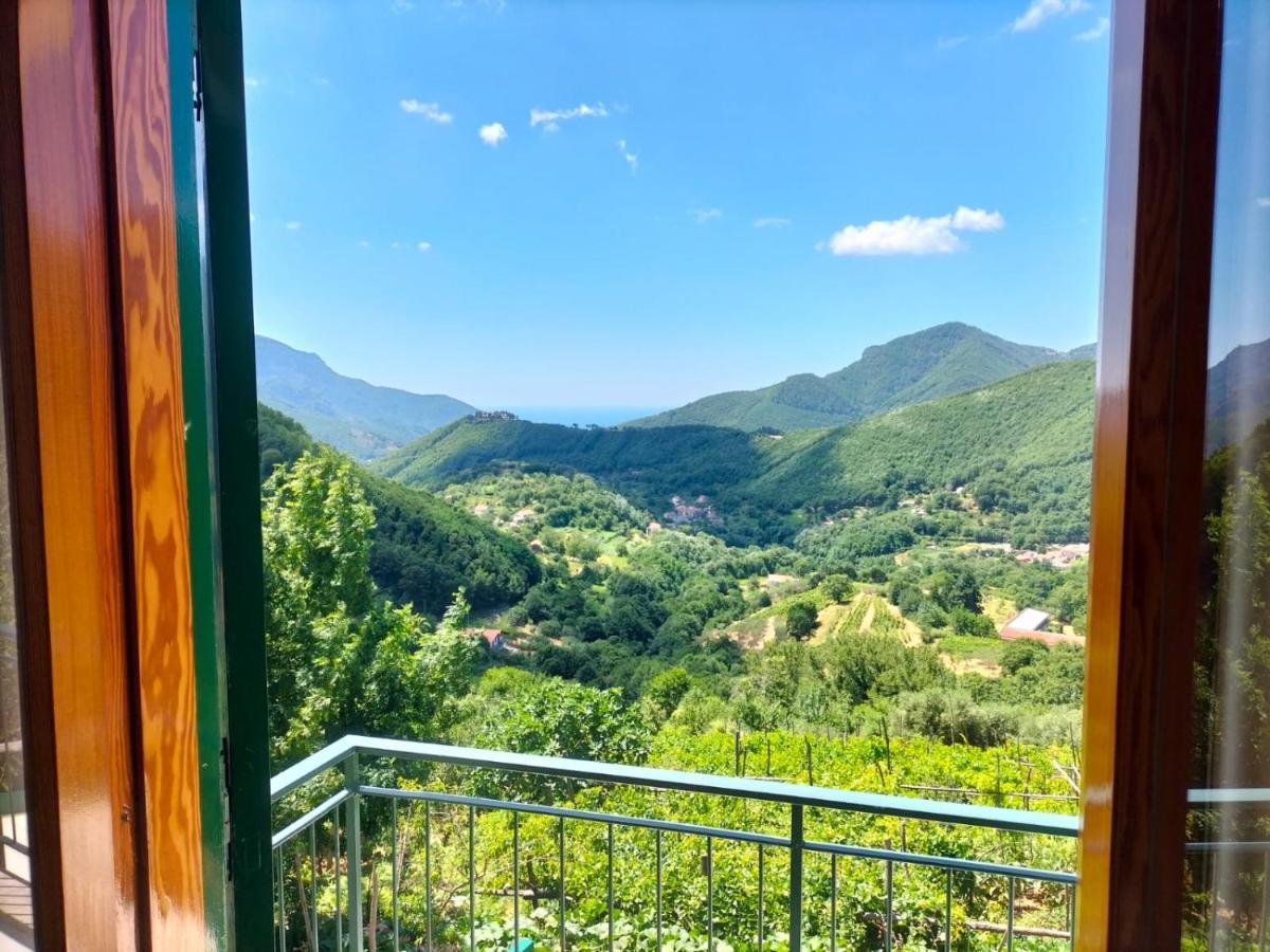 Villa La Casa In Vigna Tramonti Exterior foto