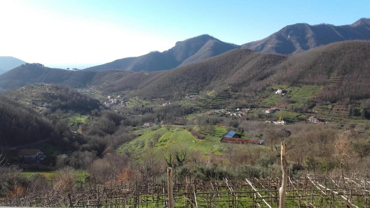 Villa La Casa In Vigna Tramonti Exterior foto